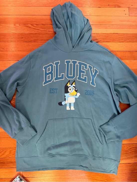 Bluey Tops - Bluey Graphic Pullover Hoodie in Teal